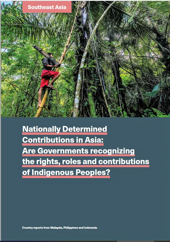 Southeast Asia Sub-Regional Report: Country Reports From Malaysia, Philippines, And Indonesia