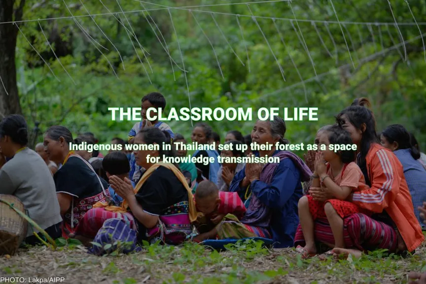 The Classroom of Life [English]
