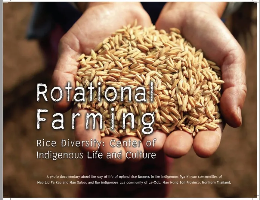 Rice In The Rotational Farming