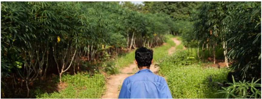 Rights Groups Call For Greater Public Input In ASEAN Environmental Rights Framework