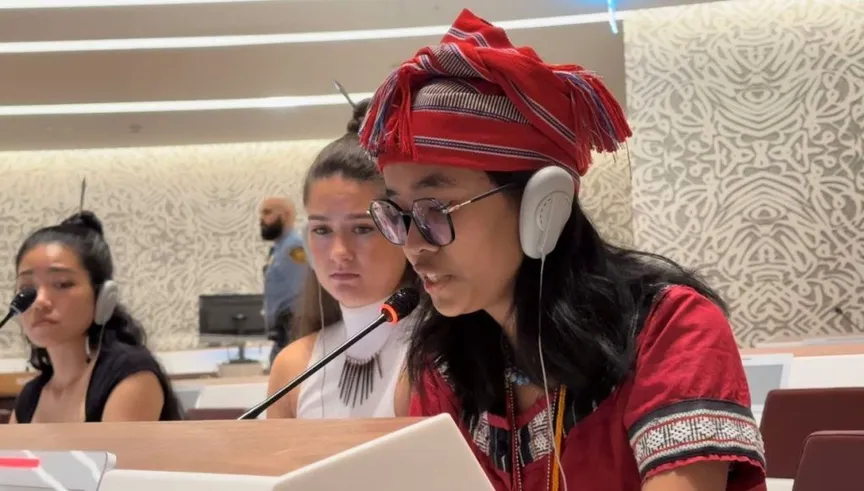 EMRIP17: Agenda Item 11 – Proposals to be submitted to the Human Rights Council for its consideration and approval