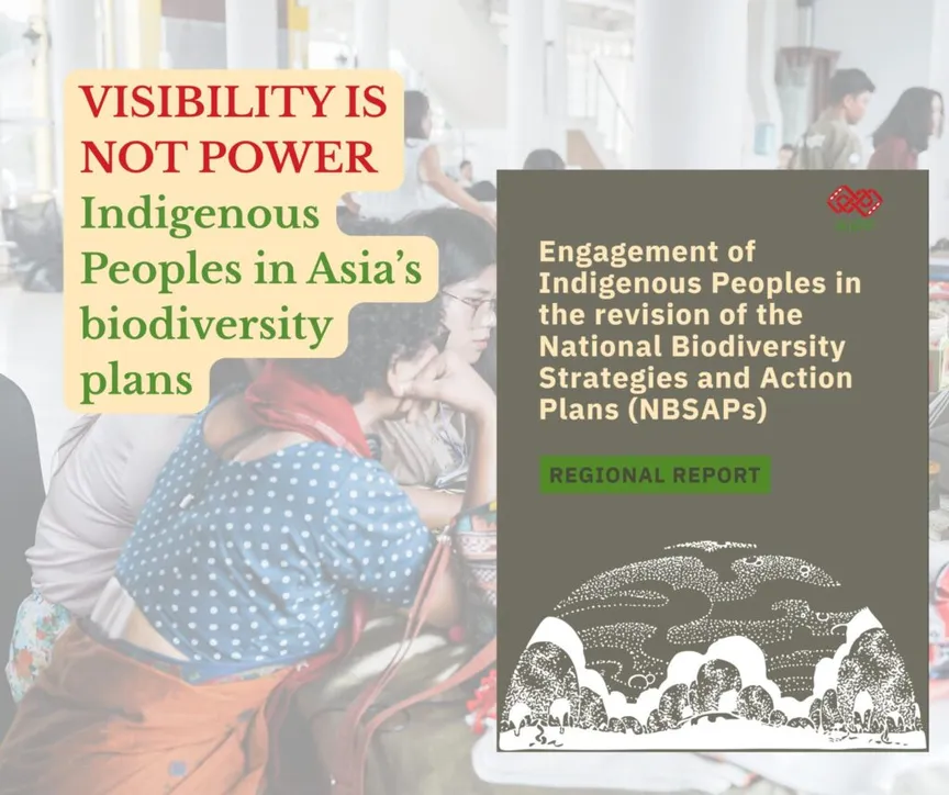 Engagement of Indigenous Peoples in the revision of the National Biodiversity Strategies and Action Plans (NBSAPs): Regional Report