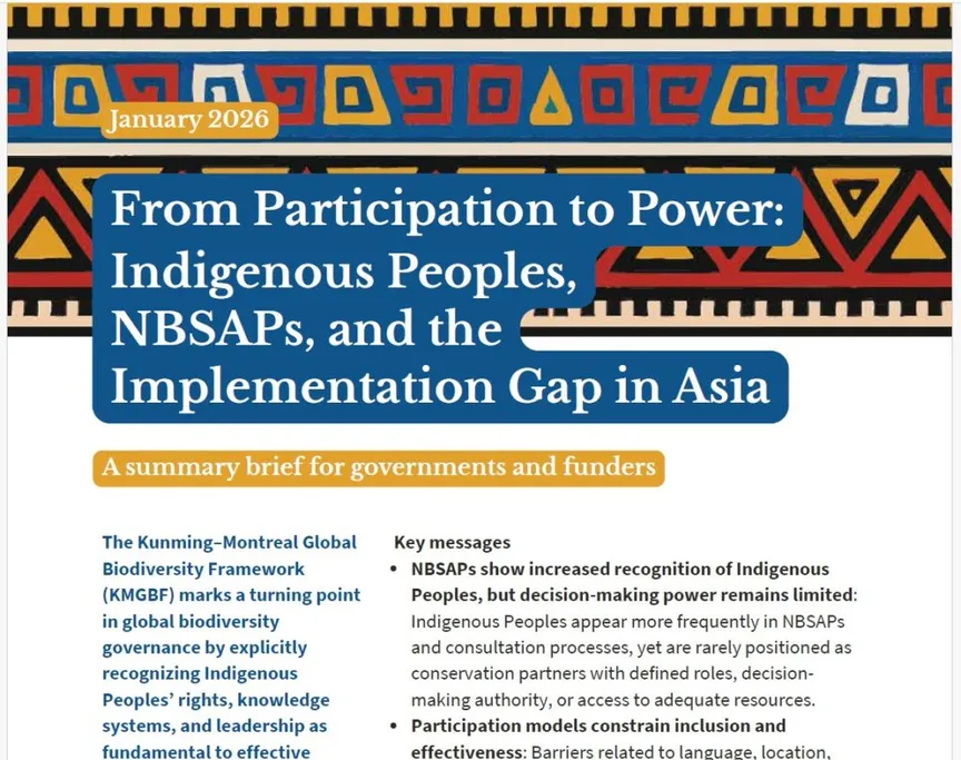 From Participation to Power: Indigenous Peoples, NBSAPs, and the Implementation Gap in Asia