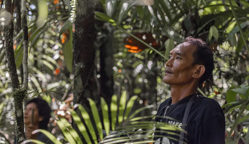Many Indigenous Peoples in Asia feel excluded from nat’l biodiversity planning: Report