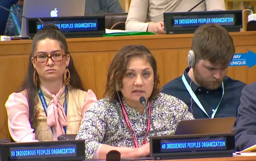 UNPFII25: Agenda Item 5 (d) – Human rights dialogue with the Special Rapporteur on the rights of Indigenous Peoples and the Expert Mechanism on the Rights of Indigenous Peoples