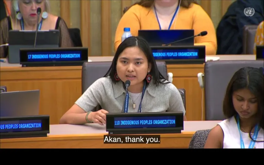UNPFII25: Agenda Item 4 – Discussion on the six mandated areas of the Permanent Forum with reference to the United Nations Declaration on the Rights of Indigenous Peoples and the 2030 Agenda for Sustainable Development