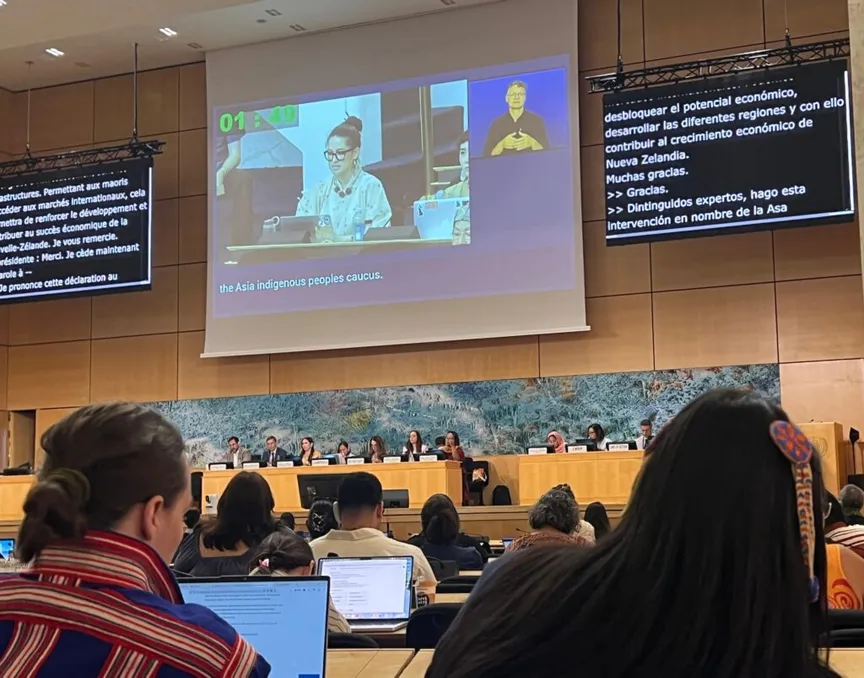 EMRIP19: Agenda Item 8 – Panel Discussion on rights of Indigenous Peoples and Artificial Intelligence