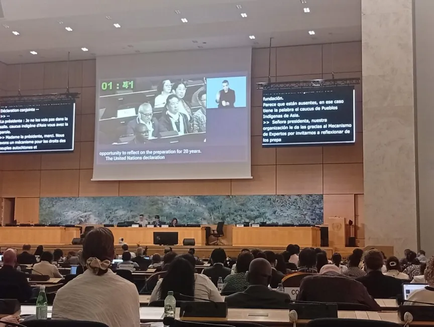 EMRIP19: Agenda Item 10 – Preparing for 20 Years of UNDRIP