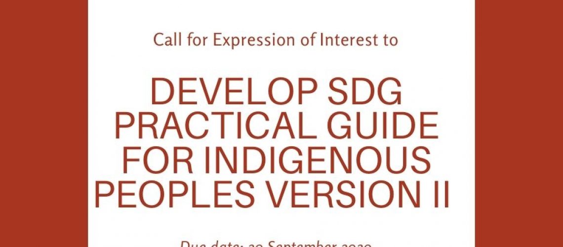 call for EIO to develop SDG practical guide
